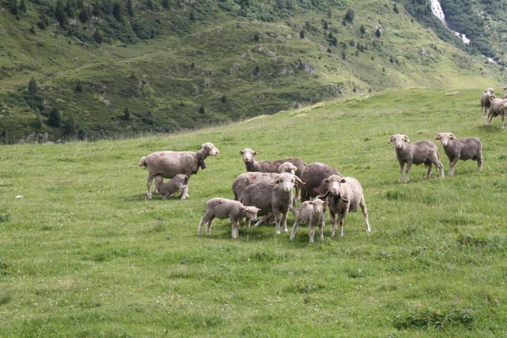 Le Cottage Des Sybelles Saint-Sorlin-dʼArves Eksteriør bilde